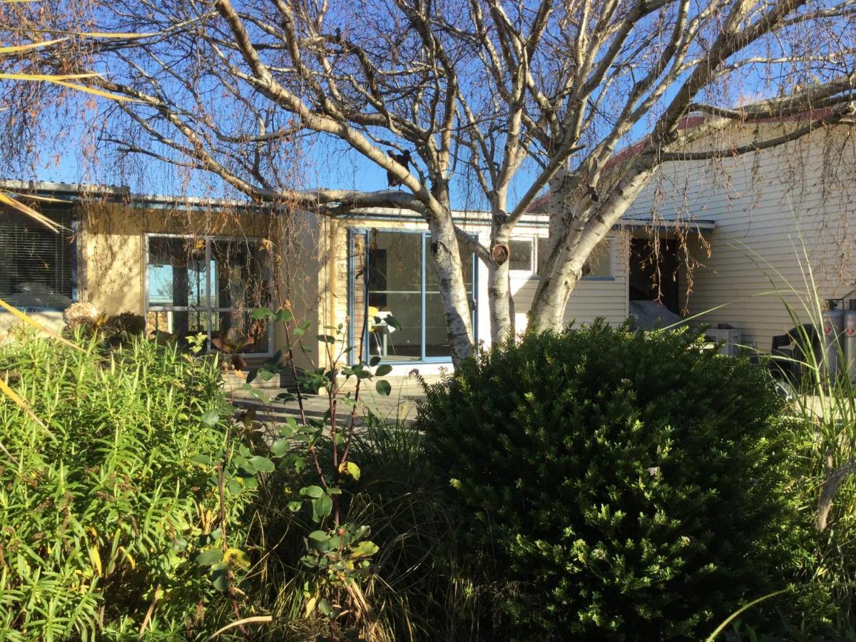 Stay In School By The Sea Dunedin Exterior photo